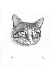 Pet Portrait Drawing