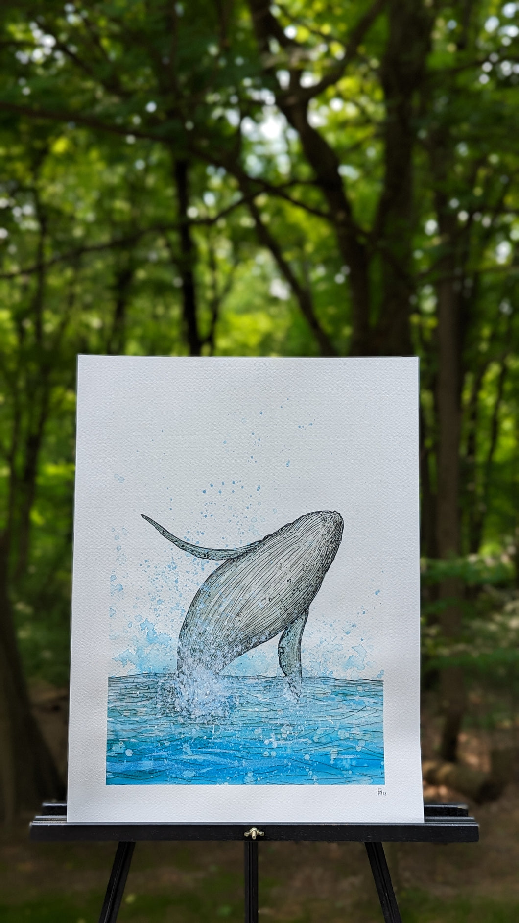 HUMPBACK II original