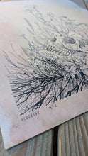 FLOURISH -2025 edition-