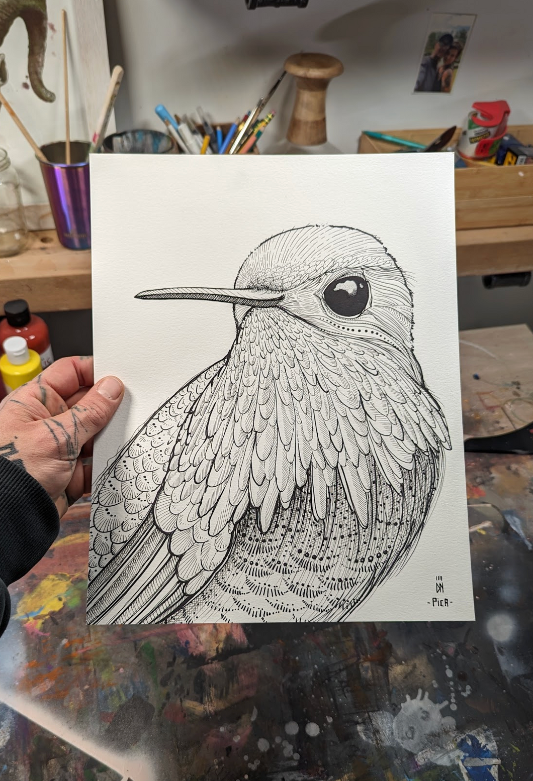 HUMMINGBIRD original