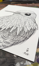 HUMMINGBIRD original