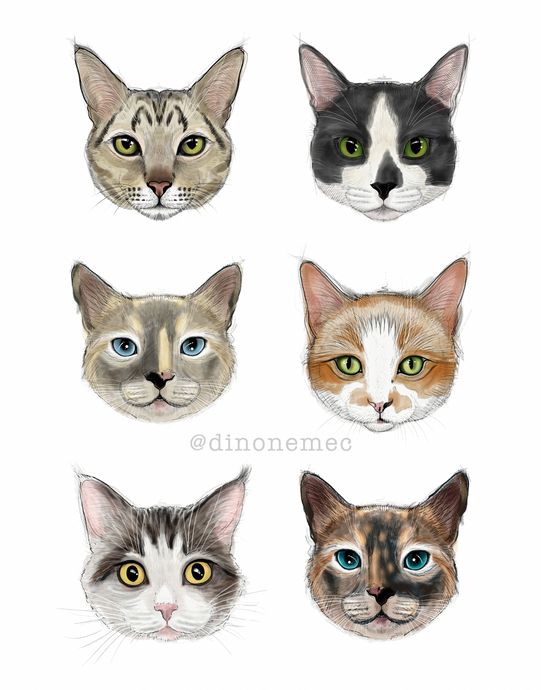 Gatitos -new-