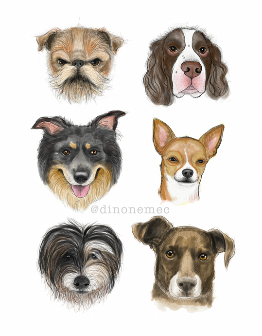 Perritos -new-