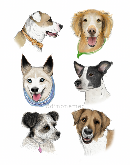 Mas perritos -new-