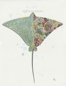 Eagle Ray -new-