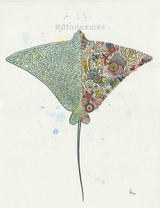 Eagle Ray -new-