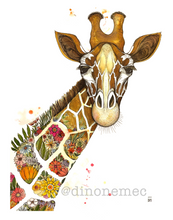 AFRICAN ANIMALS 4 pack