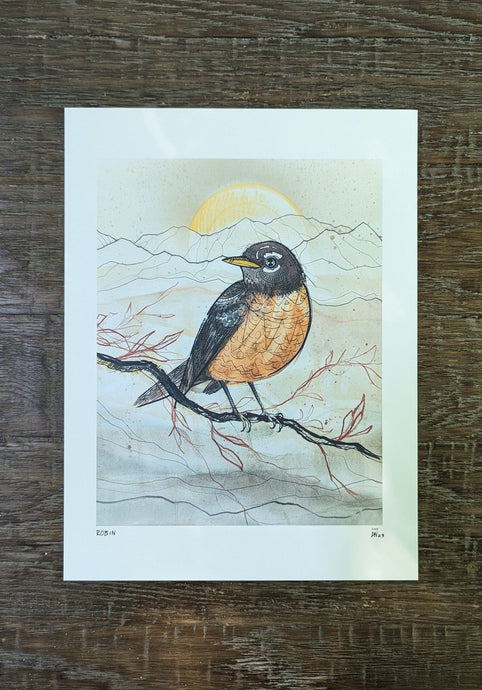 ROBIN -new-