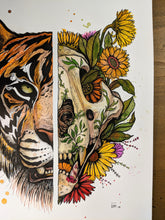 TIGRE