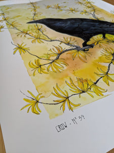 CROW - L/XL
