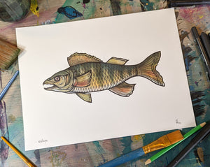 WALLEYE