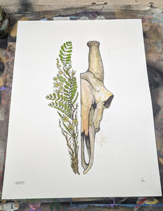 GIRAFFE original