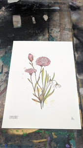 JANUARY -new-