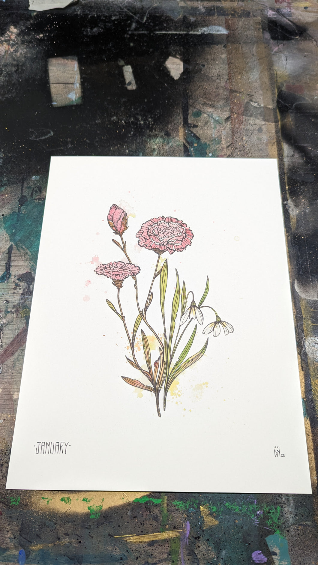 JANUARY -new-