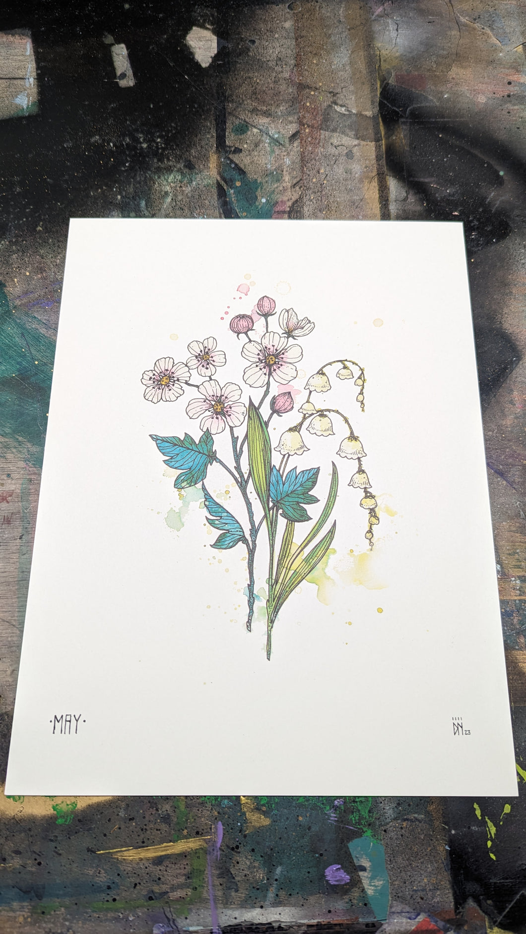 MAY -new-