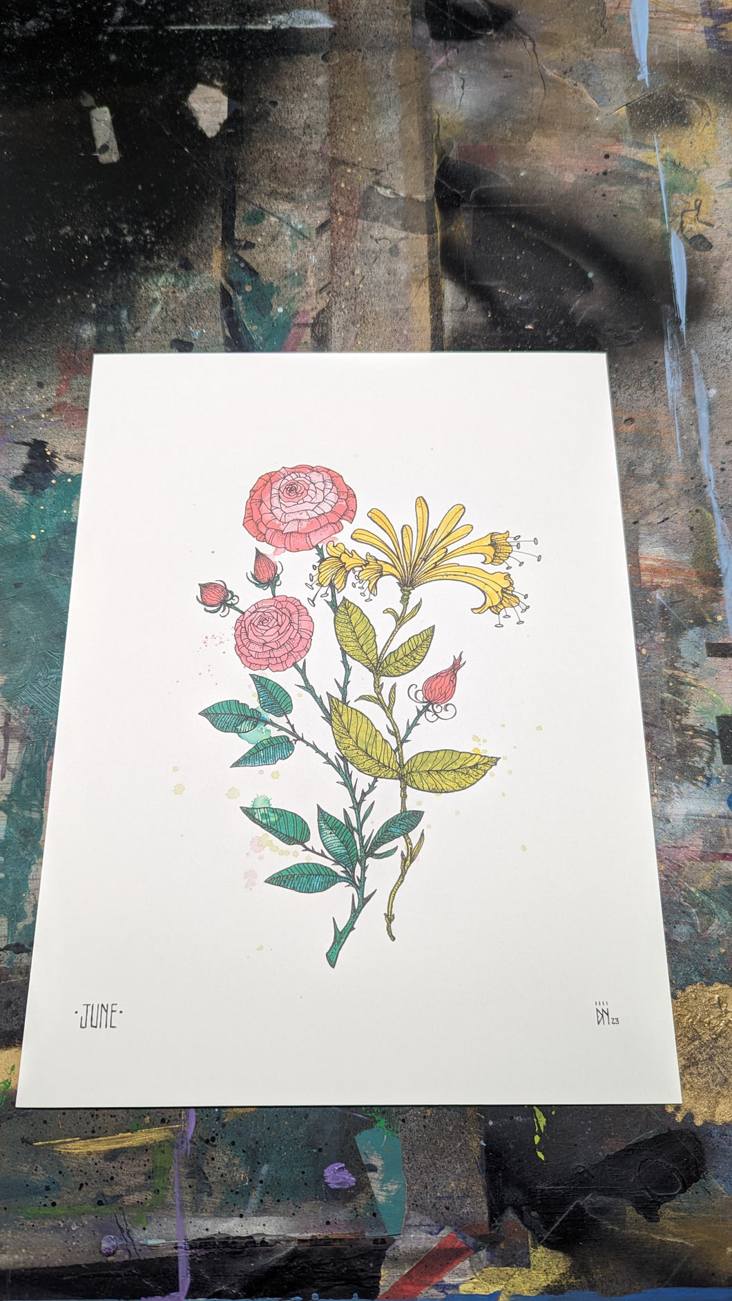 JUNE -new-