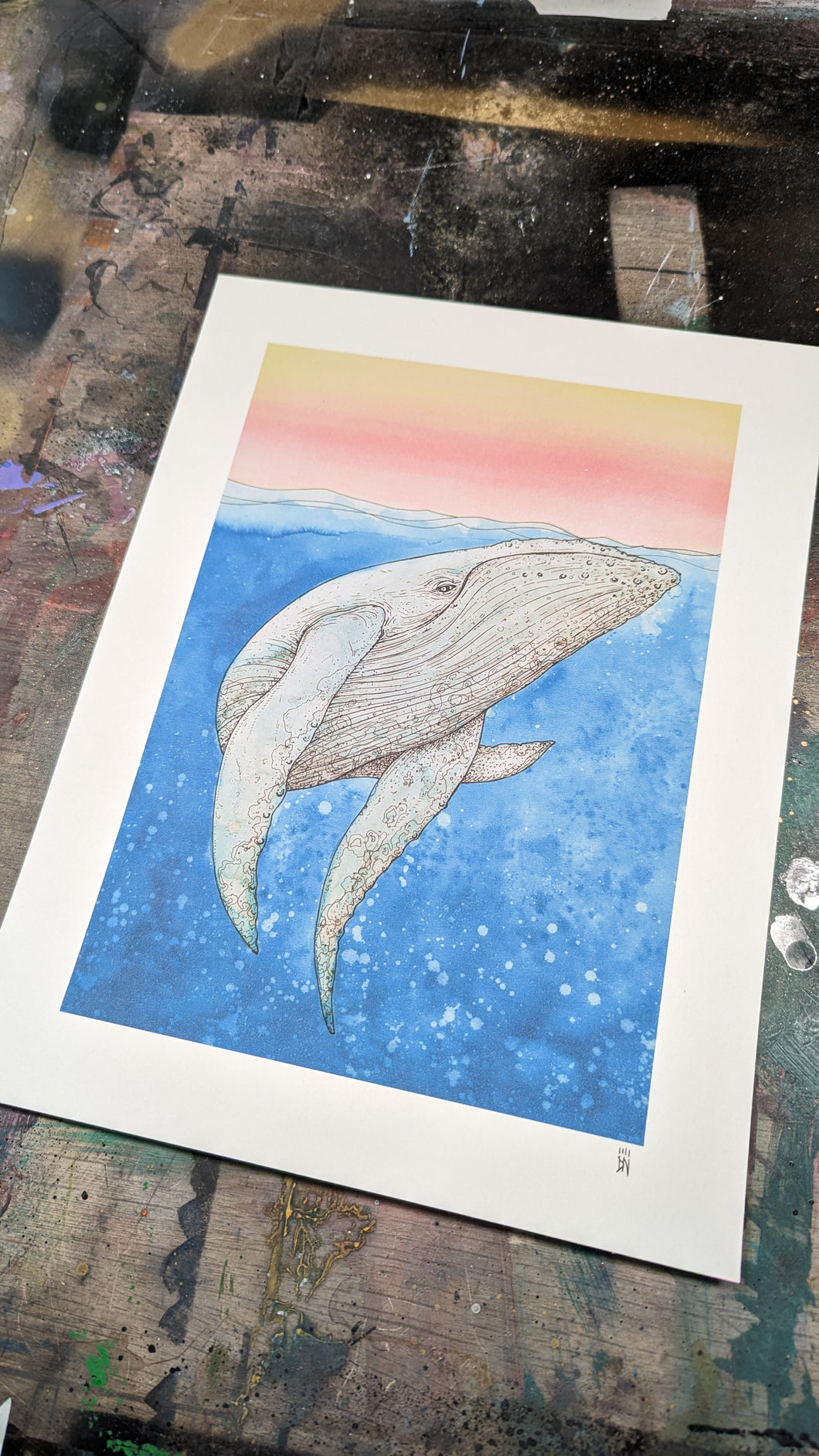 Humpback -new-