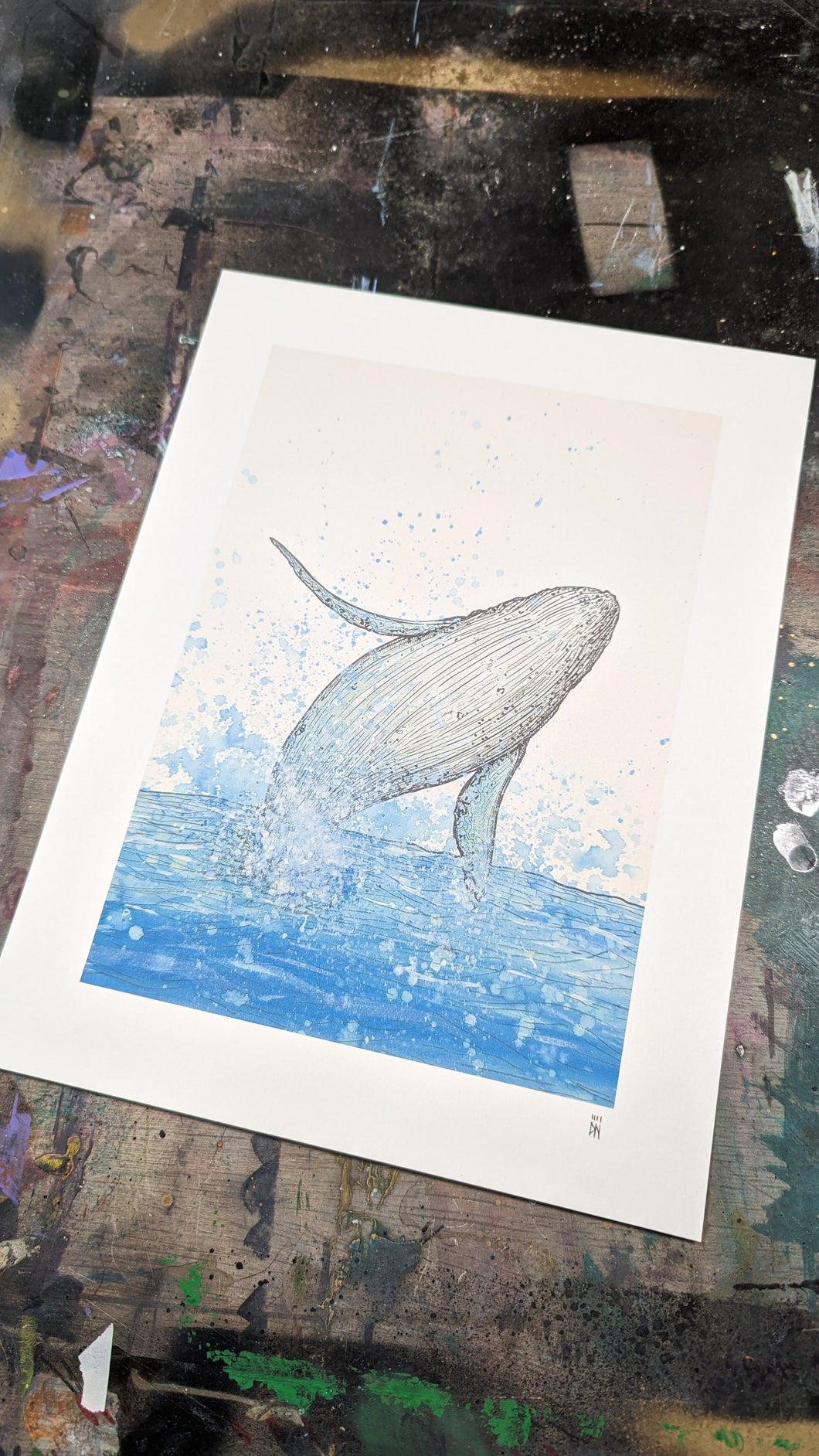 HUMPBACK 2 - L/XL