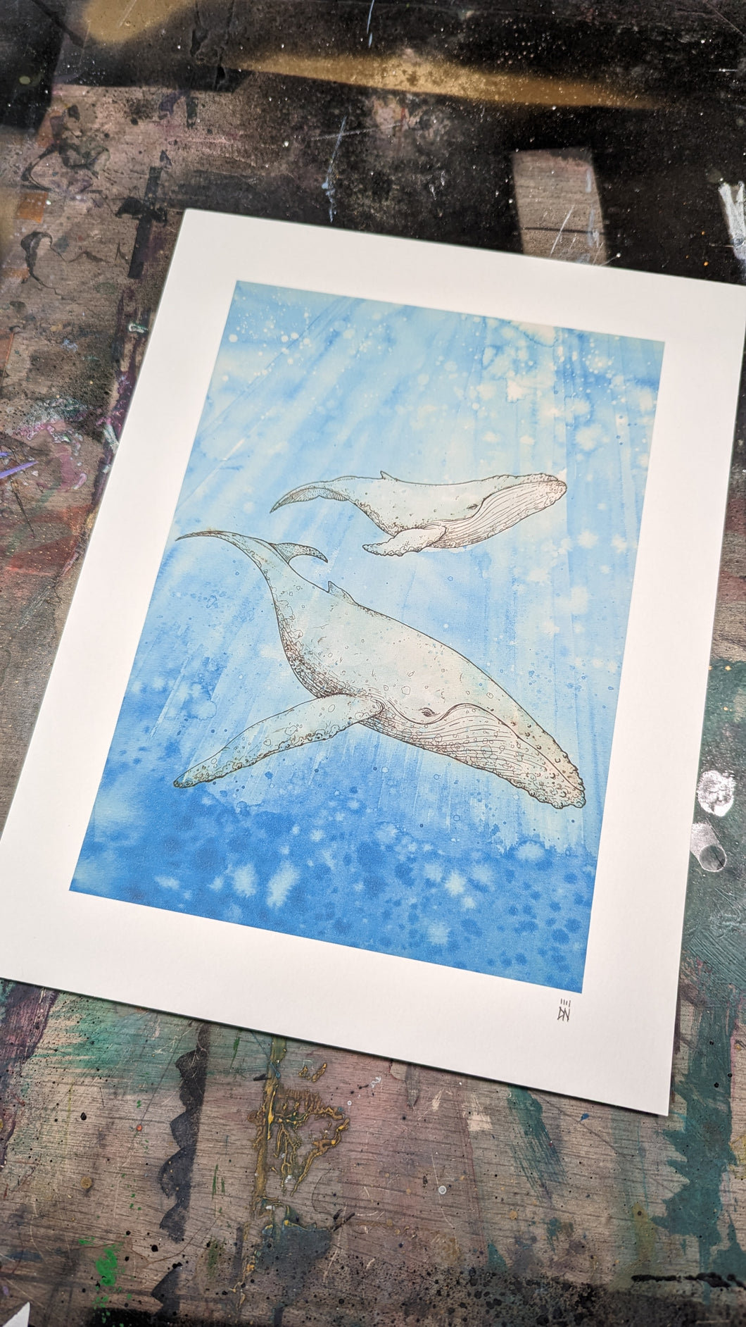 Mom & Calf -new-