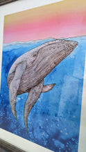 HUMPBACK - L/XL