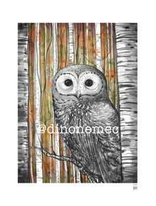 OWL -restocked-