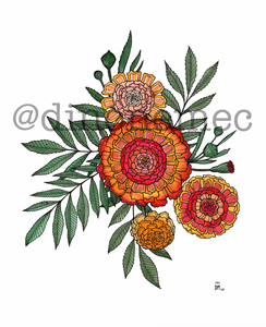 MARIGOLD