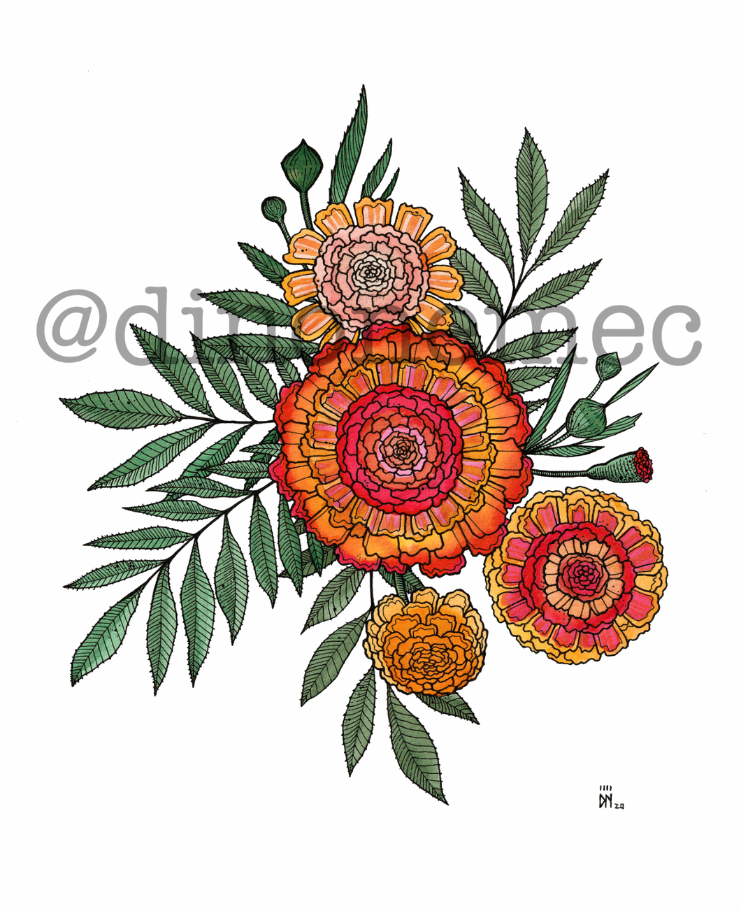 MARIGOLD