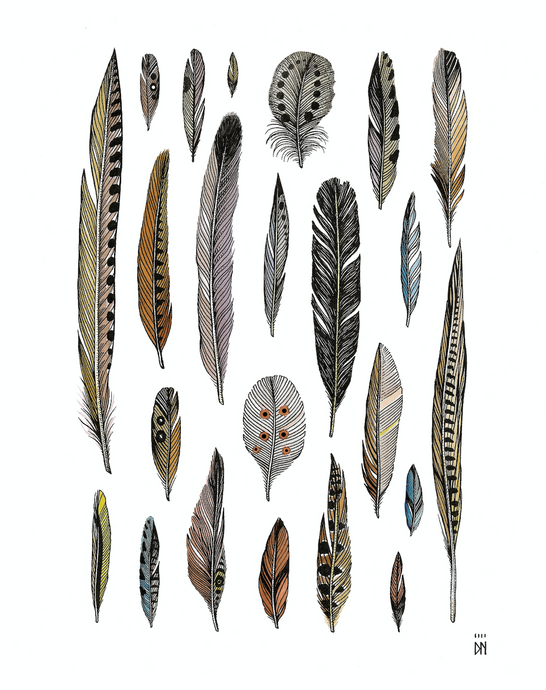 PLUMAS