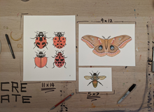 BUTTERFLY 4 -new-