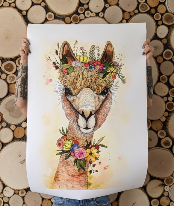 LOLA - L/XL