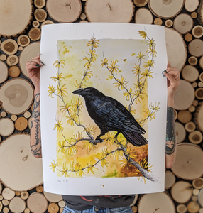 CROW - L/XL