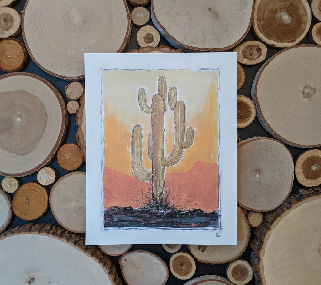 SAGUARO -new-