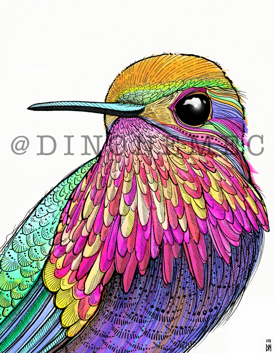 Picaflor -new-