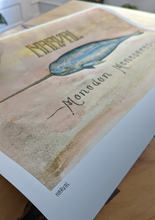 Narval -NEW-
