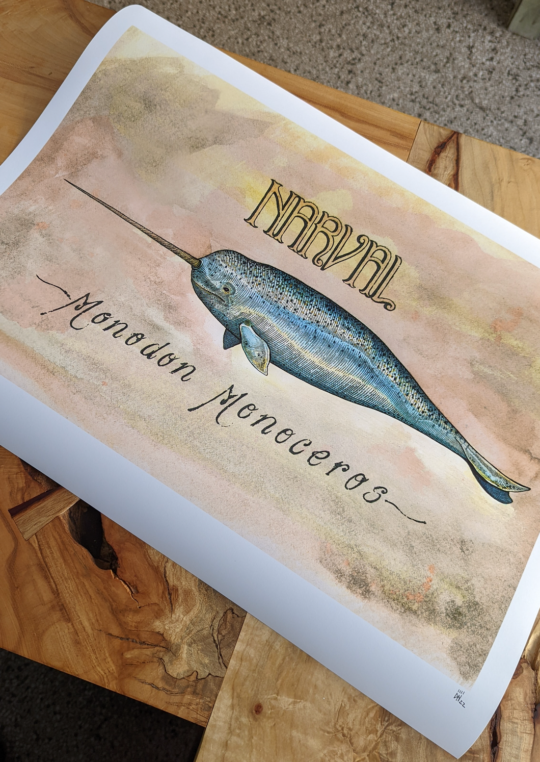Narval -NEW-