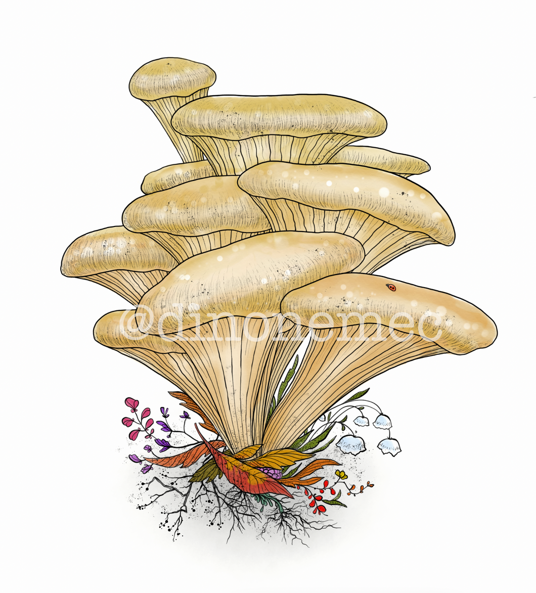 MUSHROOMS 2 -new-