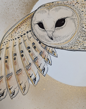 BARN OWL original