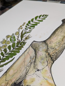 GIRAFFE original