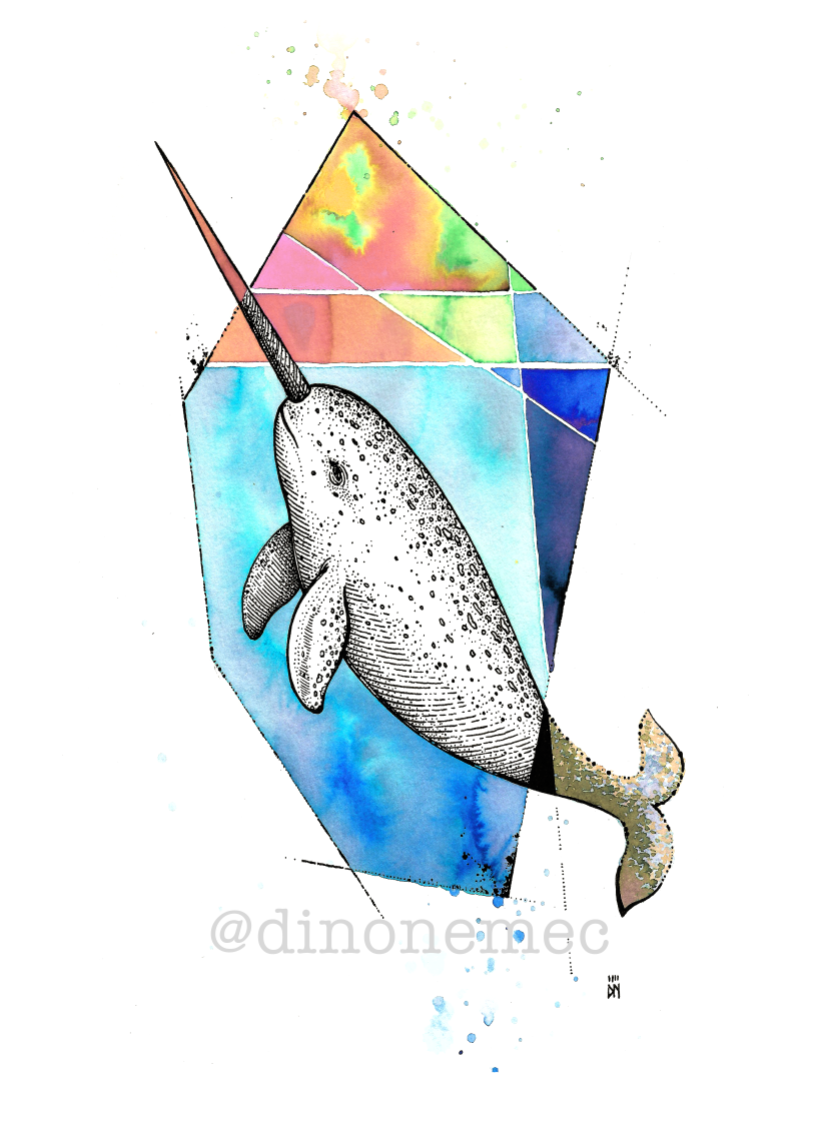 YOGA NARWHAL