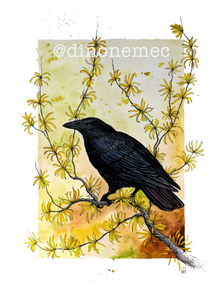 CROW