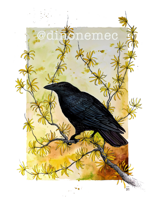 CROW