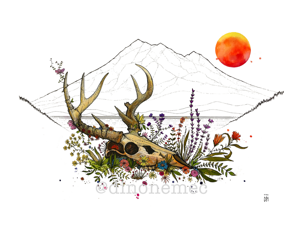 SHASTA