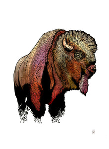 BISON
